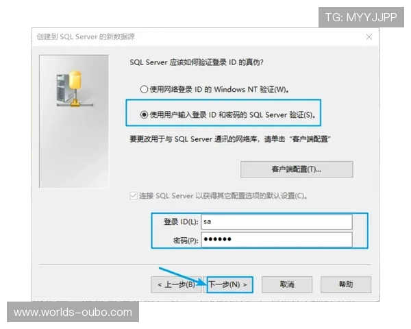 欧博官网登录入口验证码最新登录指南与安全验证流程详解